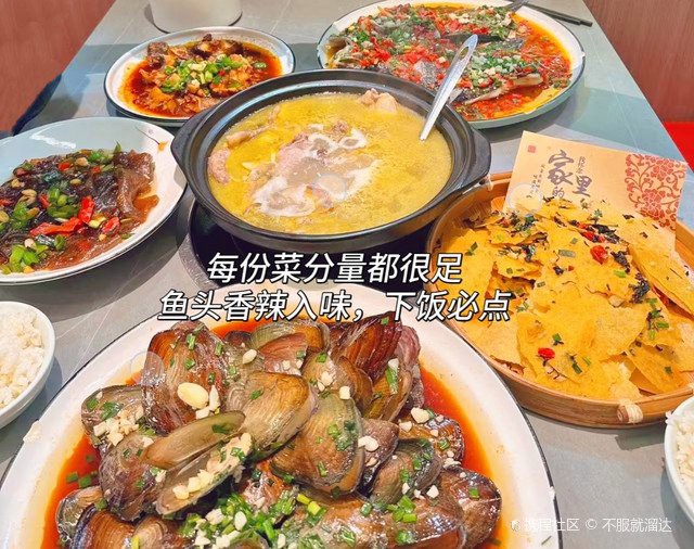 潛山龍魚店，潛山縣鑫淼宮水族館