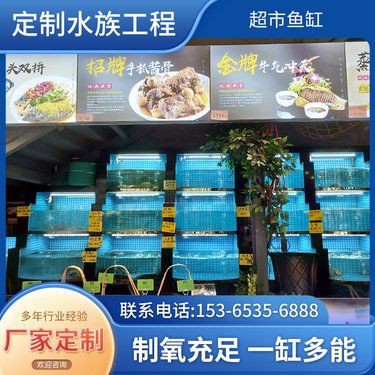 錫林郭勒盟魚缸定做，內(nèi)蒙古錫林郭勒盟魚缸定做服務(wù)展現(xiàn)出專業(yè)化與個(gè)性化的特點(diǎn)