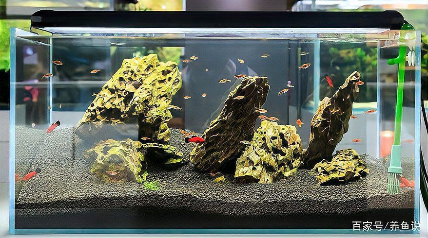 錫林郭勒盟魚缸定做，內(nèi)蒙古錫林郭勒盟魚缸定做服務(wù)展現(xiàn)出專業(yè)化與個(gè)性化的特點(diǎn)