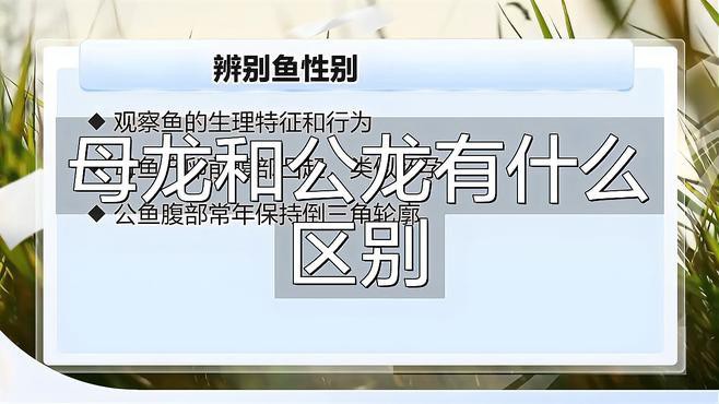 如何判斷紅龍魚的性別？，《如何判斷紅龍魚的性別》準確判斷紅龍魚的性別對于飼養者意義重大