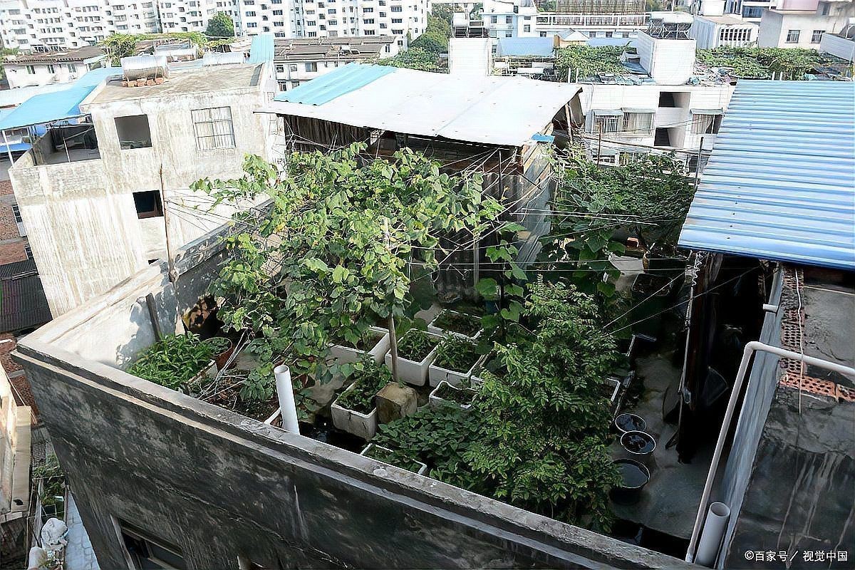 張家界魚缸定做，張家界海鮮水產市場魚缸定做
