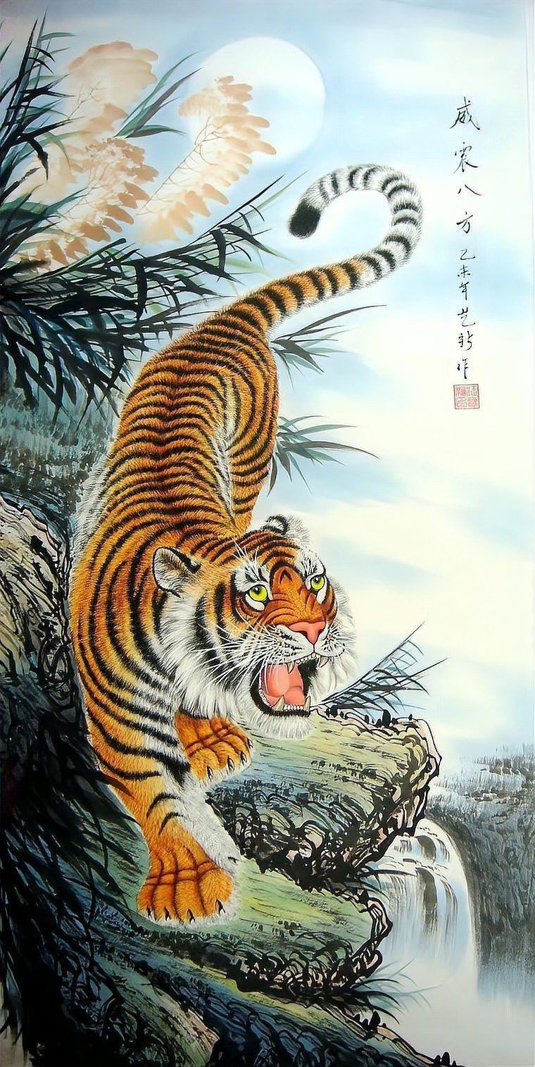 老虎圖片，農民日報，生龍活虎鬧新春:萌虎帥虎威風虎 老虎圖片，農民日報，生龍活虎鬧新春:萌虎帥虎威風虎 龍魚百科 第25張