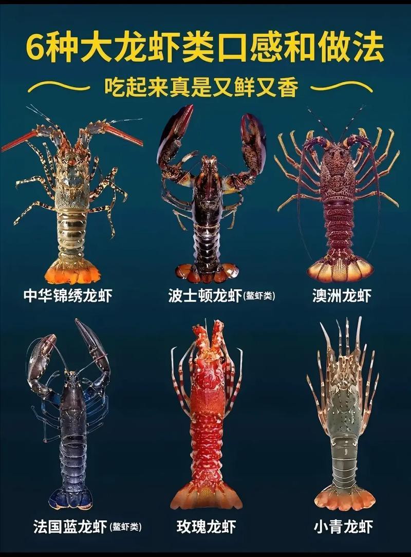 十大龍蝦圖片，全球十大龍蝦品種，波士頓龍蝦上榜，第三最為稀有富農(nóng)園