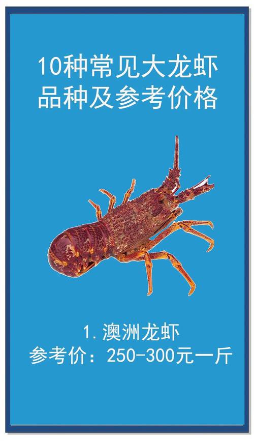 十大龍蝦圖片，全球十大龍蝦品種，波士頓龍蝦上榜，第三最為稀有富農(nóng)園