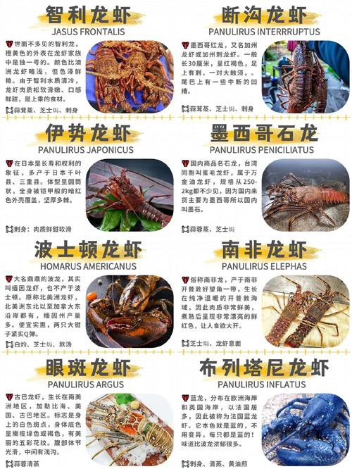 十大龍蝦圖片，全球十大龍蝦品種，波士頓龍蝦上榜，第三最為稀有富農(nóng)園
