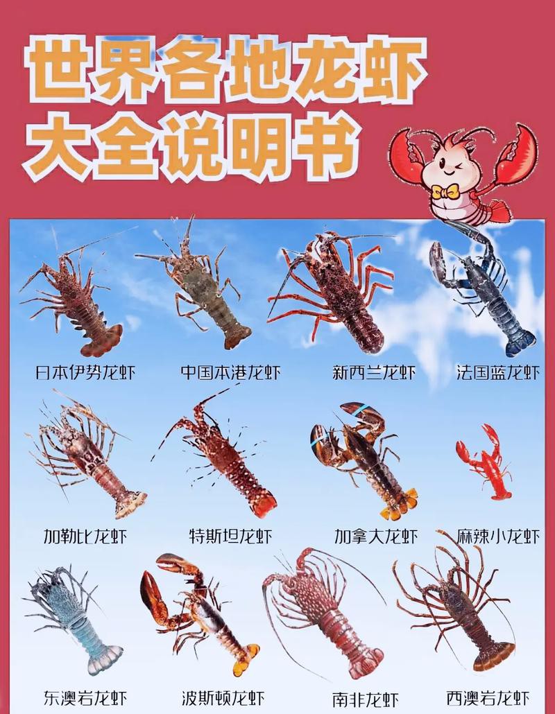 十大龍蝦圖片，全球十大龍蝦品種，波士頓龍蝦上榜，第三最為稀有富農(nóng)園