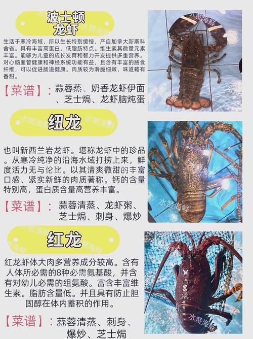 十大龍蝦圖片，全球十大龍蝦品種，波士頓龍蝦上榜，第三最為稀有富農(nóng)園