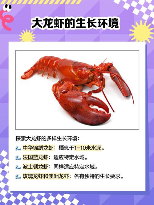 十大龍蝦圖片，全球十大龍蝦品種，波士頓龍蝦上榜，第三最為稀有富農(nóng)園