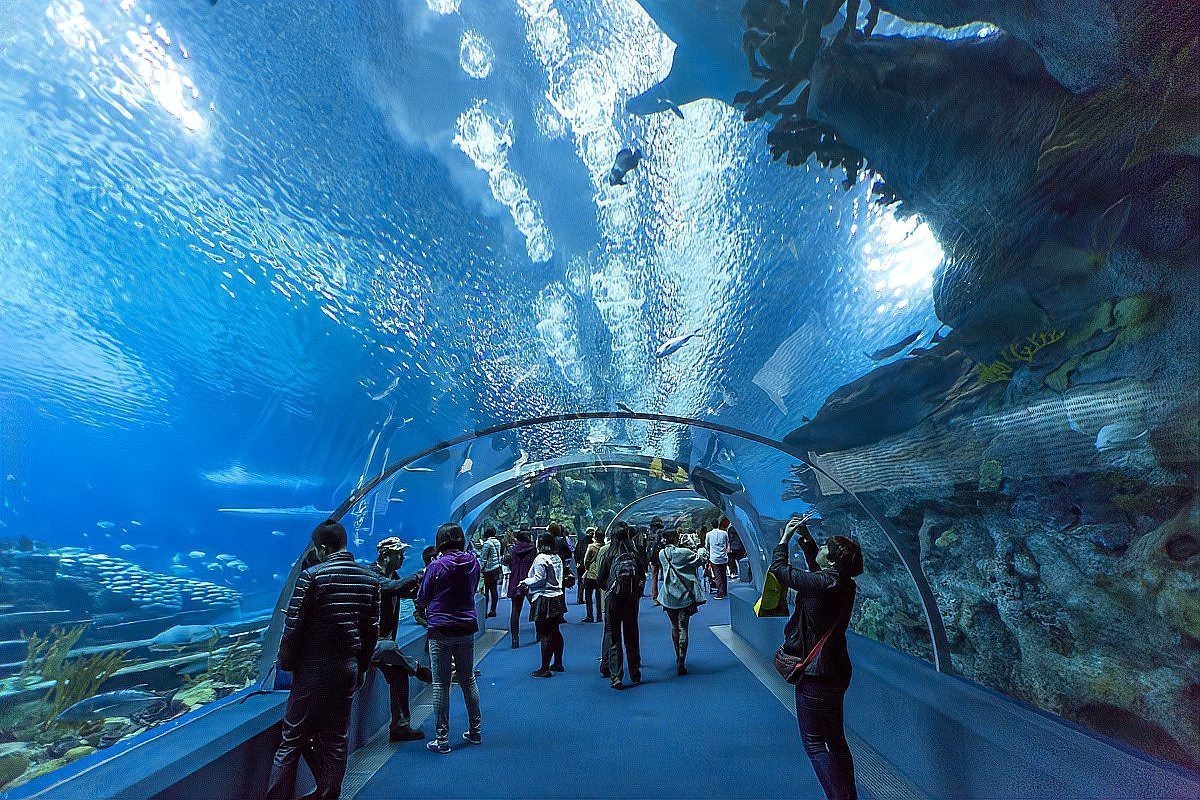 全國海洋館排名順序，亞洲首個獲iso14001環保認證的主題公園\