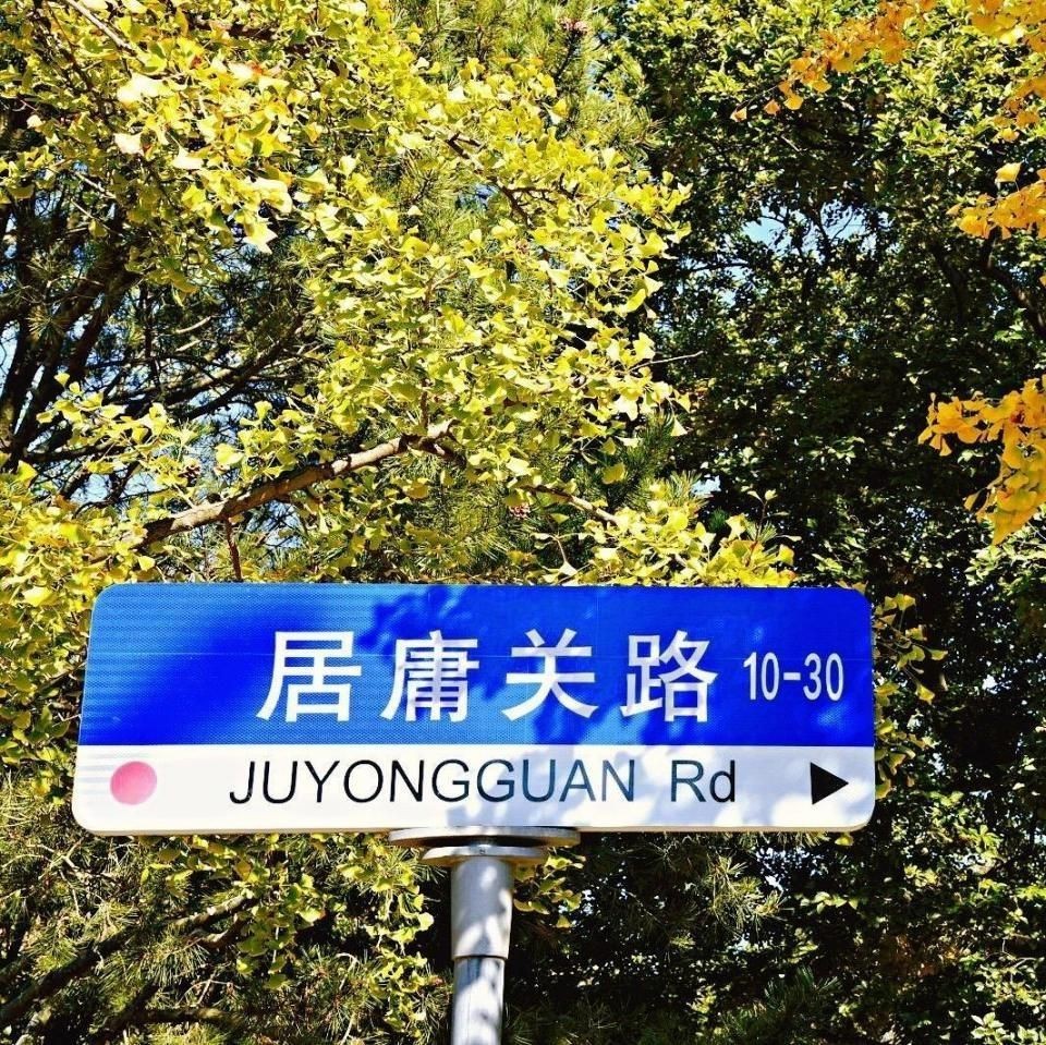 泉州水族店，泉州的水族店頗具品種，而非普通