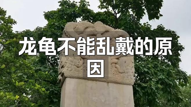 屬龍的人佩戴龍龜有哪些講究？，《屬龍的人佩戴龍龜講究》