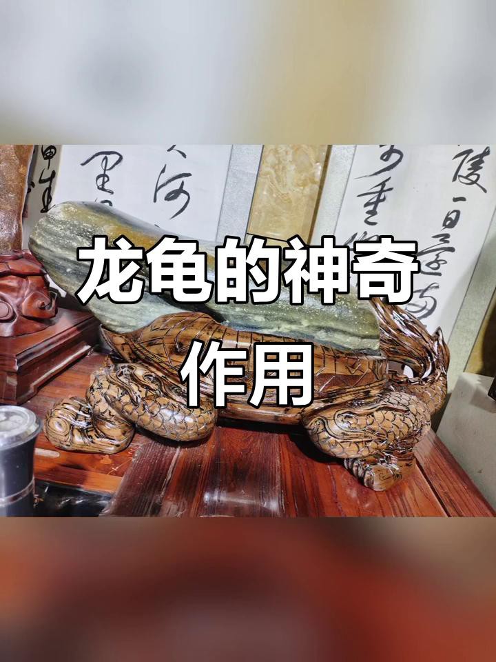 屬龍的人佩戴龍龜有哪些講究？，《屬龍的人佩戴龍龜講究》