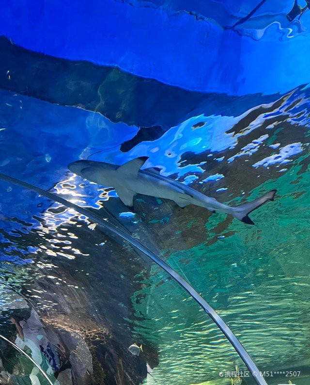 南京水族店，南京水族店的價格范圍是多少