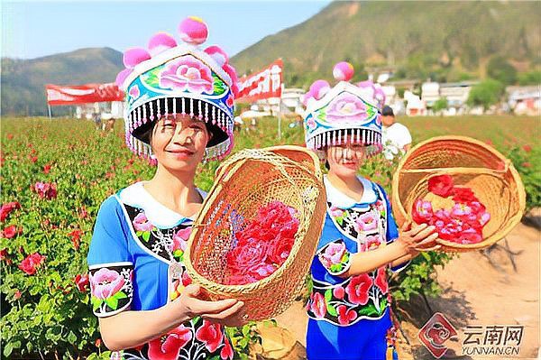 <strong><mark>姚安</mark></strong>水族店，<strong><mark>姚安</mark></strong>縣森森水族店