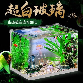德陽(yáng)水族店，德陽(yáng)市區(qū)麗景水族經(jīng)營(yíng)部