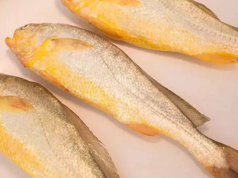 刀鯧魚是海魚還是淡水魚，刀鯧魚是一種典型的海生魚類，屬于海洋生態中的常見物種