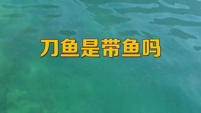 東鵬特飲和紅龍哪個更受歡迎？，東鵬特飲與紅牛哪個更受歡迎？