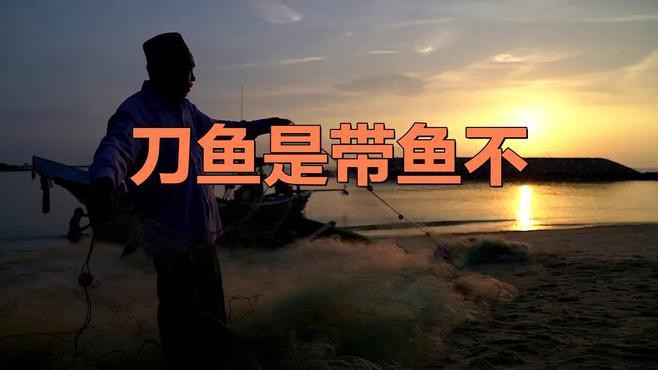 東鵬特飲和紅龍哪個更受歡迎？，東鵬特飲與紅牛哪個更受歡迎？