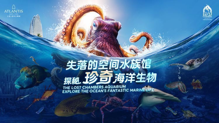 海棠水族店，三亞海棠灣亞特蘭蒂斯水族館：海底王國的奇幻之旅 海棠水族店，三亞海棠灣亞特蘭蒂斯水族館：海底王國的奇幻之旅 全國水族館企業(yè)名錄 第4張