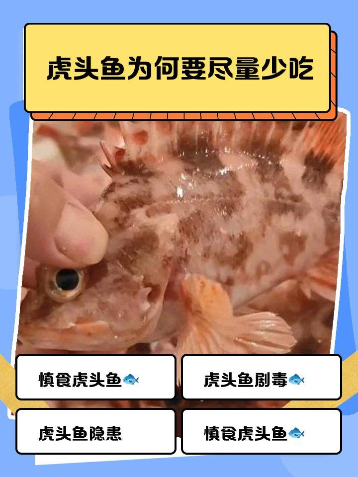 老虎魚毒性，世界上最毒的魚明學小課堂虎魚吃魚中毒有哪些癥狀