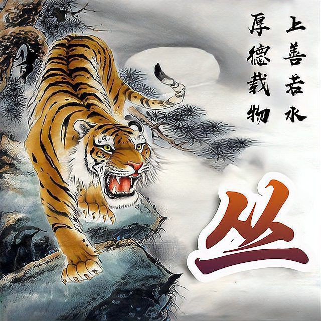 養的魚死了只剩一條預示什么，當所養之魚大多死亡僅余一條時，這一現象常引發諸多聯想與思考 養的魚死了只剩一條預示什么，當所養之魚大多死亡僅余一條時，這一現象常引發諸多聯想與思考 龍魚論壇 第31張