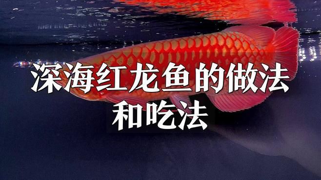 紅龍魚的最佳做法，紅龍魚的幾種經典做法