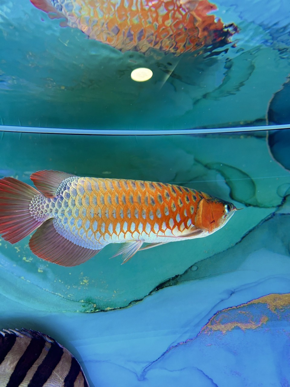 大哥回來了，弟弟接走了[haha]，“大哥回來了，弟弟接走了”充滿趣味