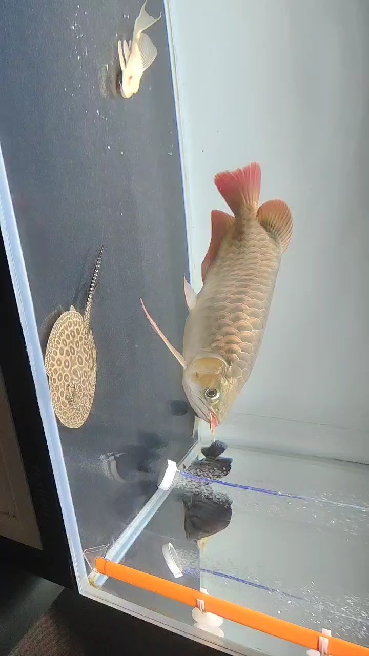 簽到，——以小小舉動開啟一天的節奏