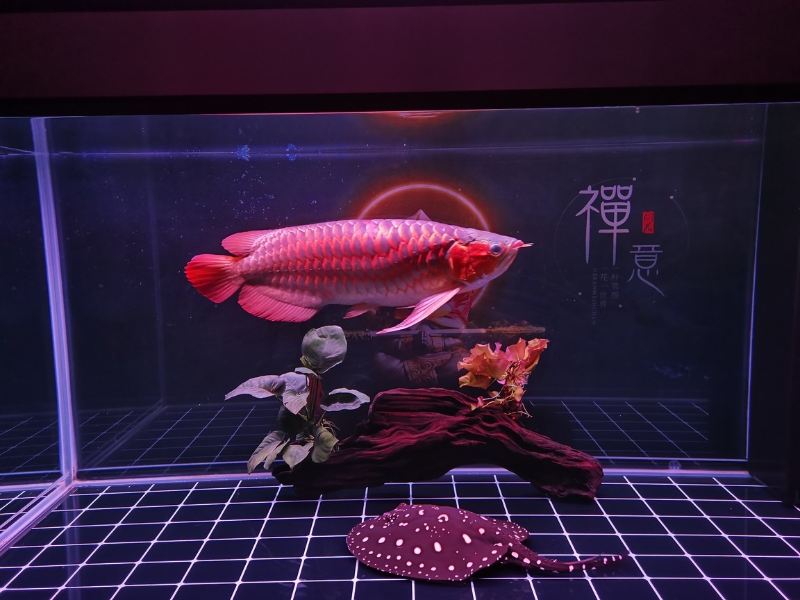 打卡，“打卡”作為一種流行的行為模式