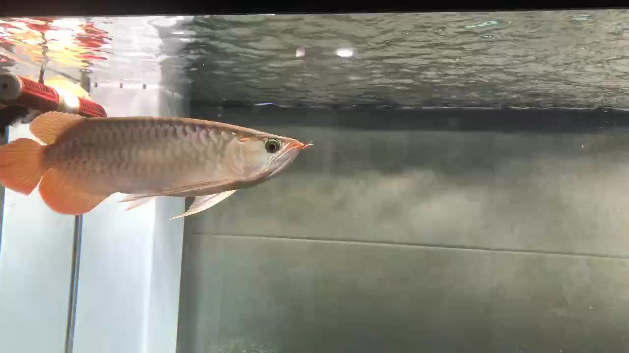 值錢嗎？