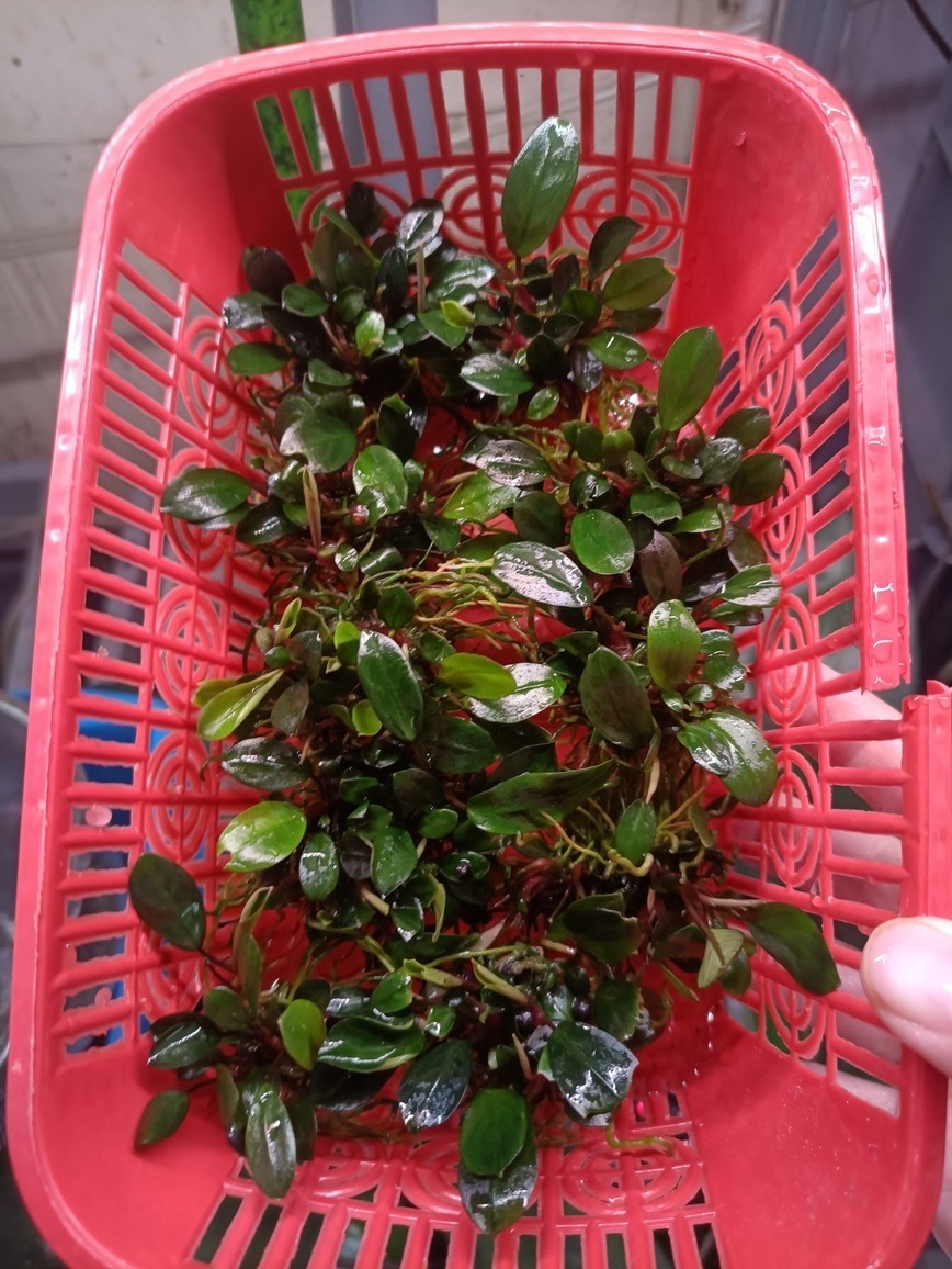 天涼了，于寧靜里體悟時光流轉，沉淀出對生活的別樣感悟