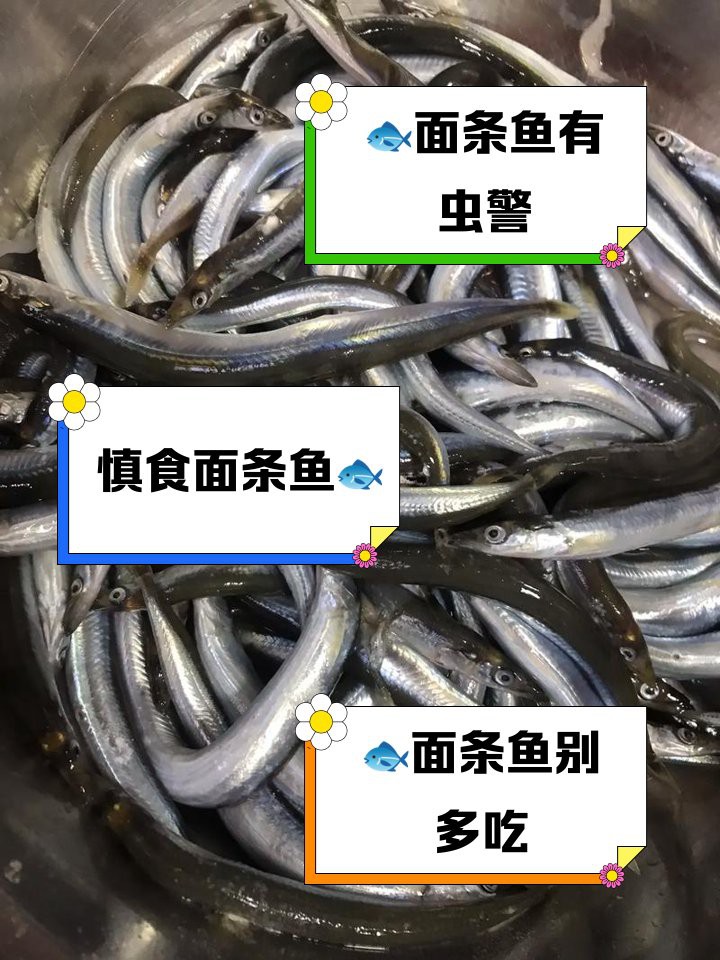 雙線魚為何盡量少吃，雙線魚的健康風(fēng)險
