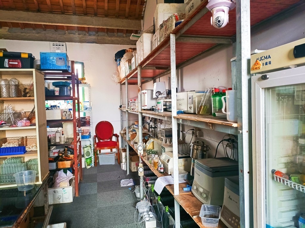 水草栽培學(xué),水草栽培學(xué)——水草栽培學(xué) 龍魚論壇 第8張 水草栽培學(xué),水草栽培學(xué)——水草栽培學(xué) 水草栽培學(xué),水草栽培學(xué)——水草栽培學(xué) 龍魚論壇 第8張