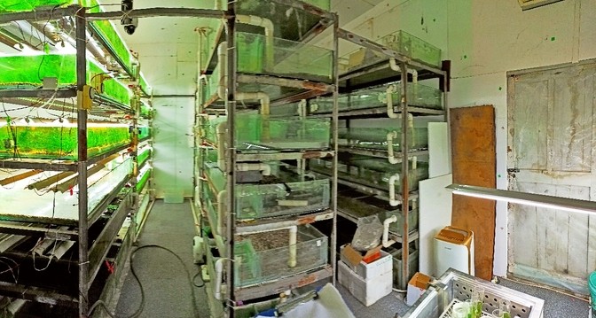 水草栽培學(xué),水草栽培學(xué)——水草栽培學(xué) 龍魚論壇 第9張 水草栽培學(xué),水草栽培學(xué)——水草栽培學(xué) 水草栽培學(xué),水草栽培學(xué)——水草栽培學(xué) 龍魚論壇 第9張