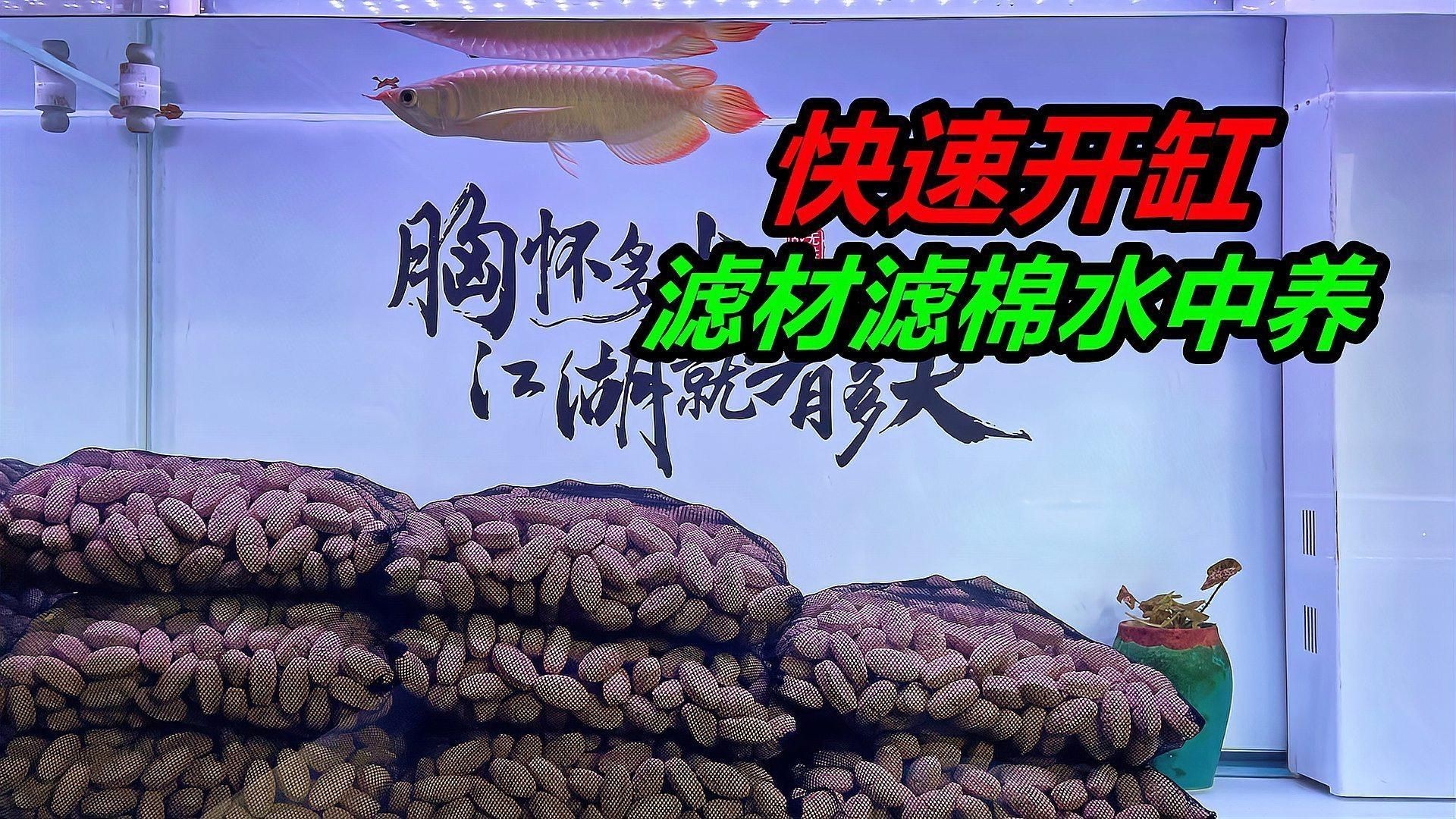 馬印橄欖球濾材怎么樣，馬印橄欖球濾材怎么選馬印橄欖球濾材全民小視頻