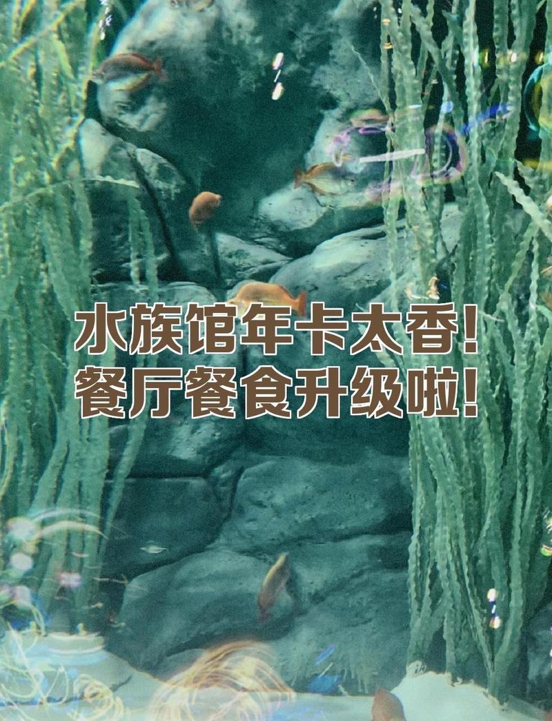 林周水族店【林周水族店地址在哪里】