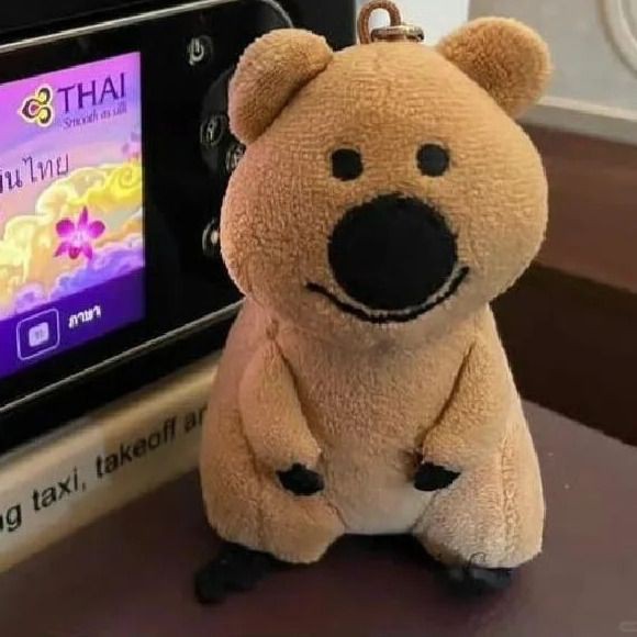 金鯧魚為何被國家禁了【金鯧魚被國家全面禁止養殖和銷售】 金鯧魚為何被國家禁了【金鯧魚被國家全面禁止養殖和銷售】 龍魚百科 第6張