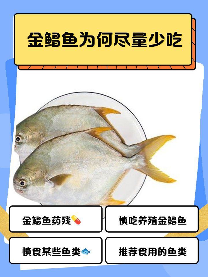 金鯧魚為何被國家禁了【金鯧魚被國家全面禁止養殖和銷售】 金鯧魚為何被國家禁了【金鯧魚被國家全面禁止養殖和銷售】 龍魚百科 第5張