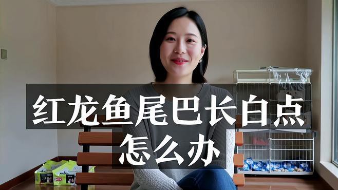 龍魚身上長白點會自愈嗎？【龍魚身上長白點一般不會自愈】
