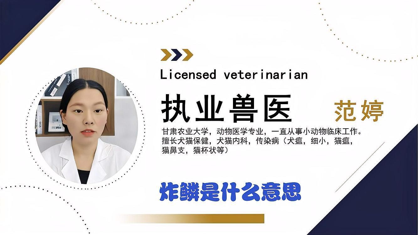 魚炸鱗的原因【aeromonaspunctata)魚炸鱗的原因】 魚炸鱗的原因【aeromonaspunctata)魚炸鱗的原因】 龍魚百科 第9張