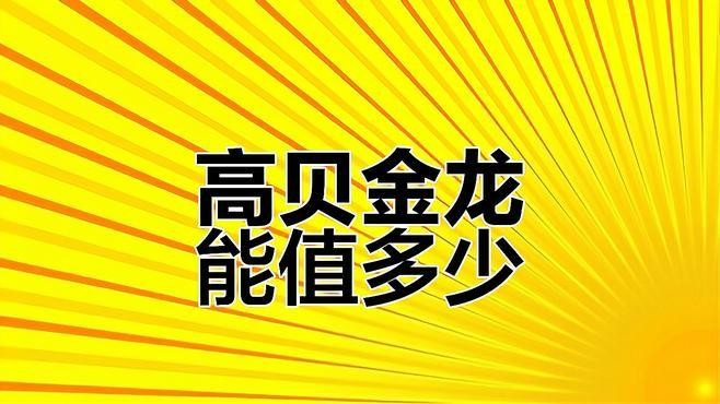 高背紅龍魚 高背紅龍魚 龍魚百科 第4張