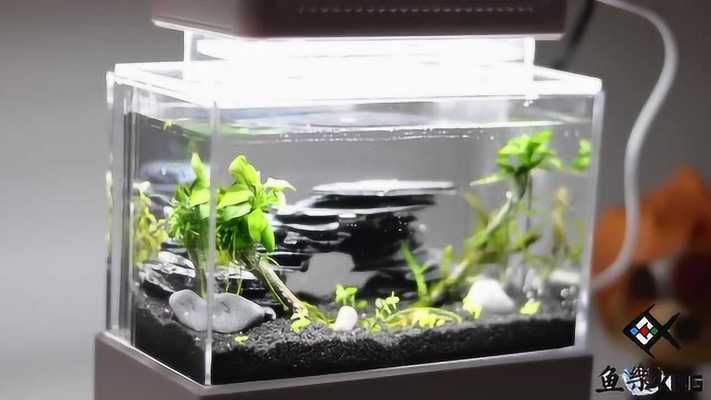 魚缸拆箱視頻：《魚缸拆箱視頻詳情》 魚缸拆箱視頻：《魚缸拆箱視頻詳情》 魚缸百科 第2張