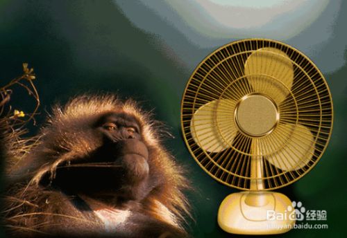 魚缸水溫異常的處理方法：如何自然調(diào)節(jié)魚缸水溫