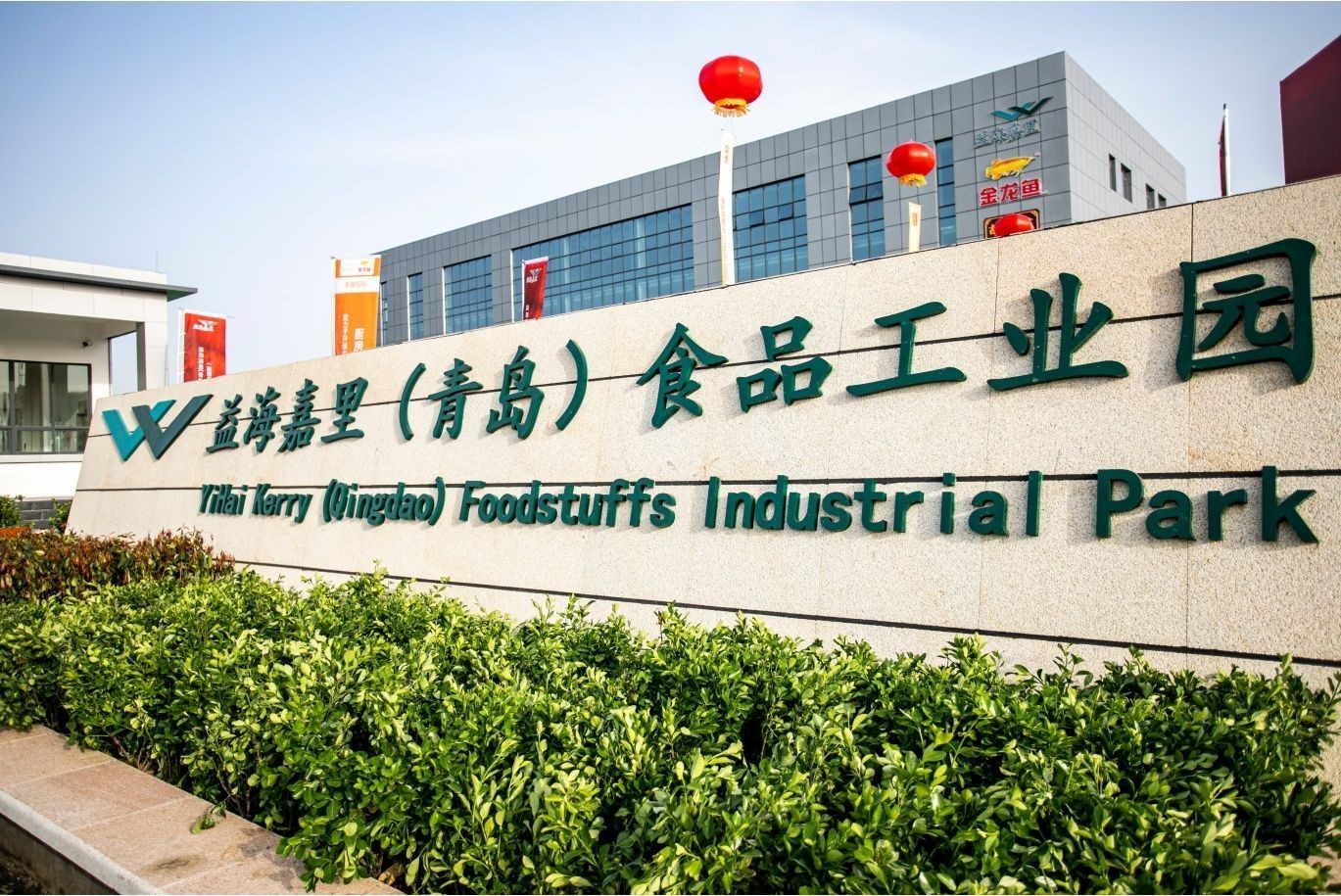 金龍魚徐擁軍哪里人，關于金龍魚徐擁軍的個人信息搜索結果中并沒有明確提及他的出生地或籍貫