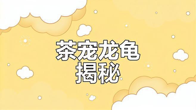 龍頭龜身神獸有哪些著名的文物遺存？【龍頭龜身神獸的象征意義是什么？】