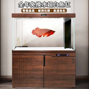 養龍魚的魚缸用白底還是黑底好看些呀：養龍魚的魚缸底色選擇