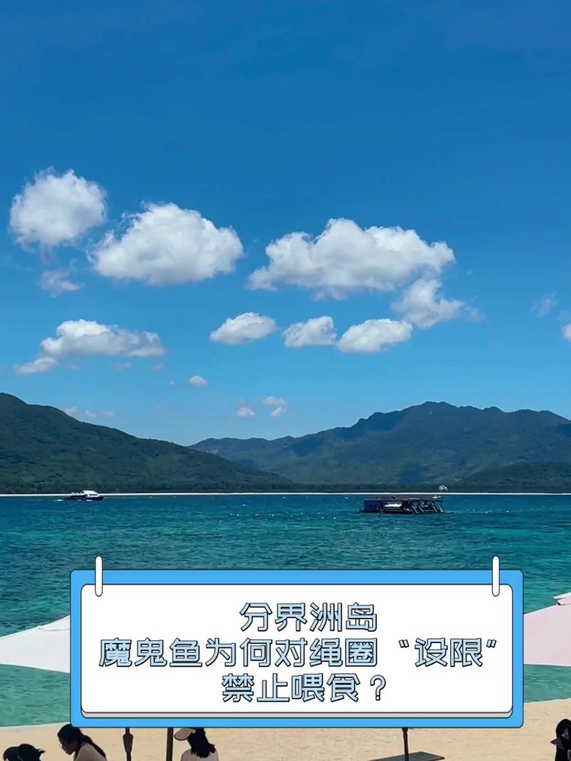 魔鬼魚為何盡量少吃【魔鬼魚為何盡量少吃丁杰生活記,吃魚這3個部位千萬別吃】 魔鬼魚為何盡量少吃【魔鬼魚為何盡量少吃丁杰生活記,吃魚這3個部位千萬別吃】 龍魚論壇 第4張