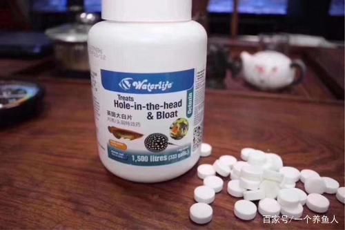 龍魚如何做檢疫：關于龍魚檢疫的詳細步驟和注意事項