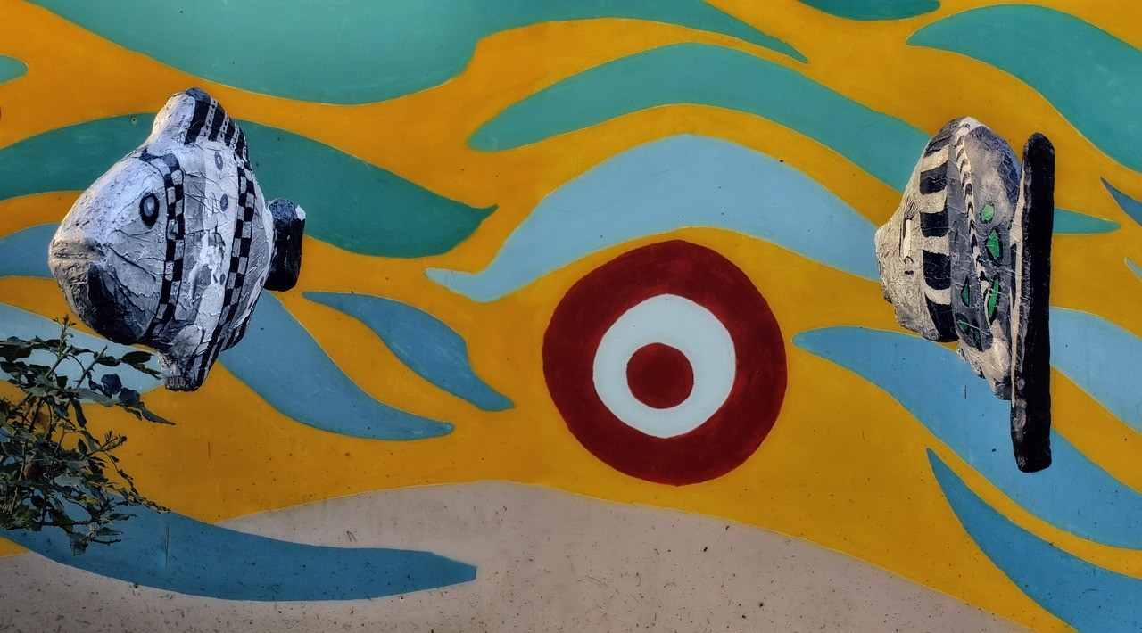 銀龍魚是不是淡水魚（銀龍屬于淡水魚嗎） 銀龍魚是不是淡水魚（銀龍屬于淡水魚嗎） 銀龍魚百科 第1張