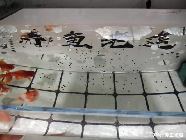 哪個牌子的魚油比較好(哪種品牌的魚油比較好) 魚缸百科 第3張 哪個牌子的魚油比較好(哪種品牌的魚油比較好) 哪個牌子的魚油比較好(哪種品牌的魚油比較好) 魚缸百科 第3張